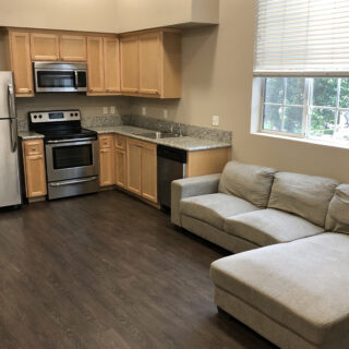 Apartment kitchen and living space